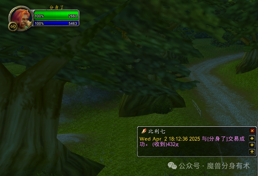 魔兽世界怀旧服打团的排骨也不好吃了，未来何去何从