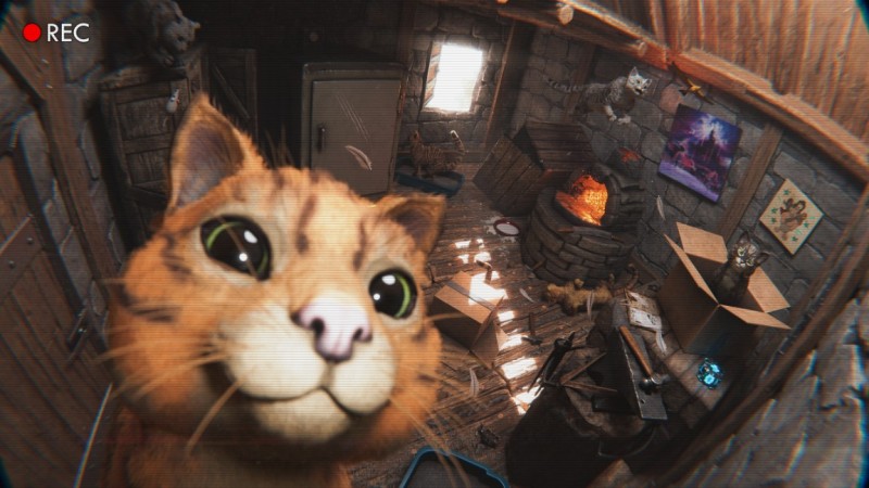 《方舟生存飞升》可爱新生物&ldquo;猫&rdquo;上线，性格各异，猫党狂喜