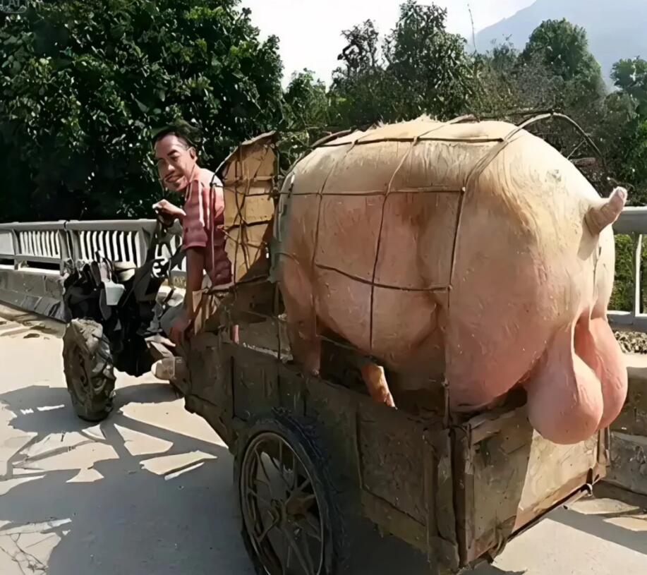 一看吓一跳：雷死人不偿命的囧图集（864）