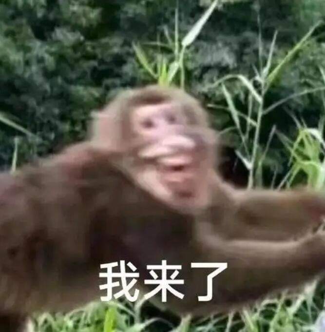 村里第一位&ldquo;留级生&rdquo;？又一国产武侠上线，仅售66元玩家却不买账