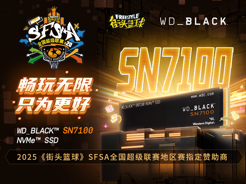 畅玩无限 WD_BLACK助力《街头篮球》SFSA全国超级联赛